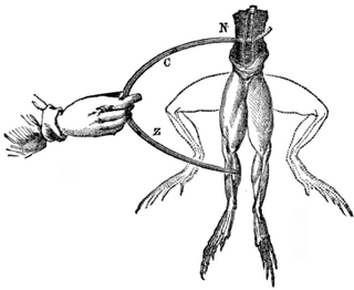 Illustration for article titled La excéntrica vida de Giovanni Aldini: el científico que reanimaba a los muertos e inspiró la historia de Frankenstein